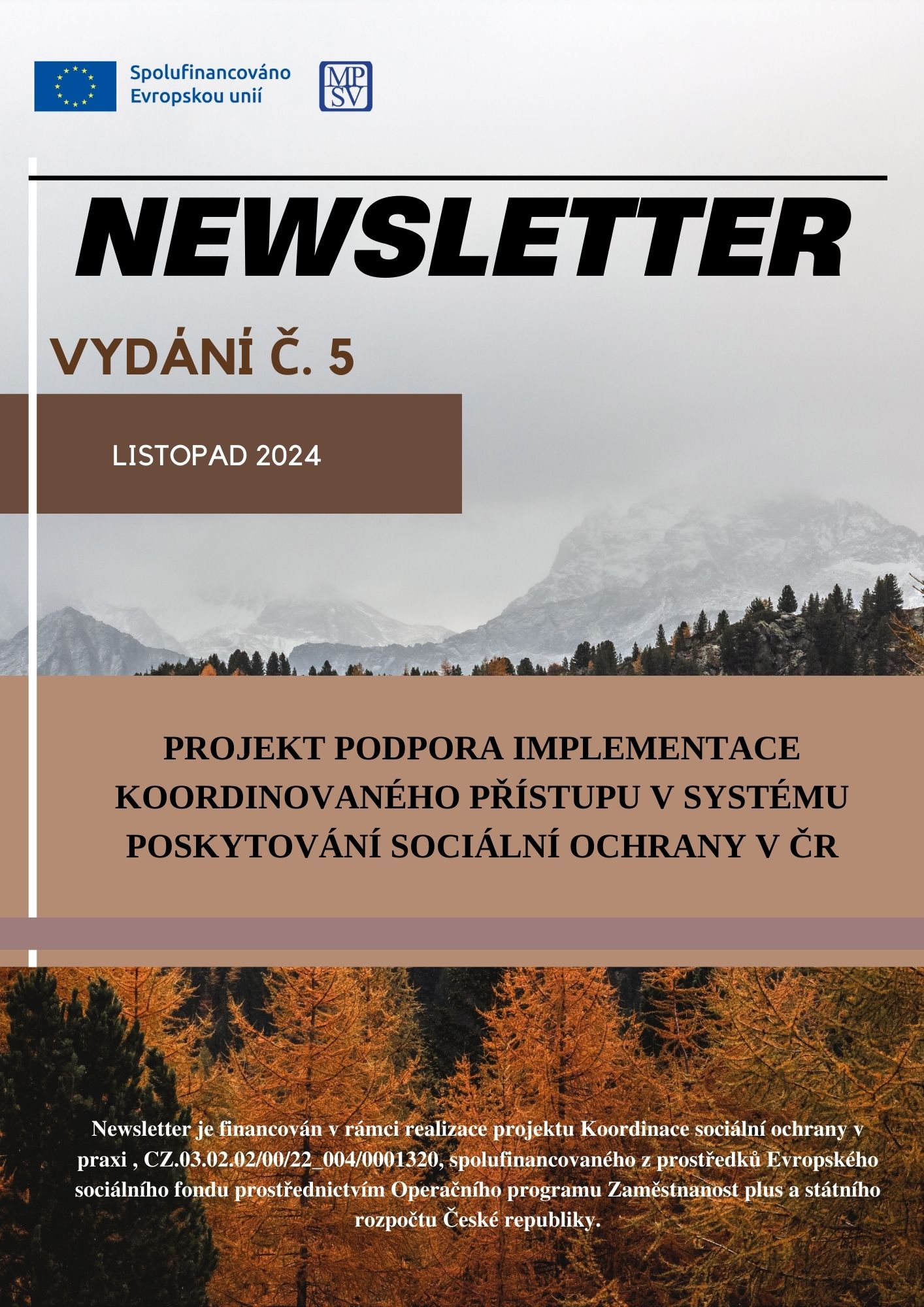 Nový newsletter - Ilustrační obrázek